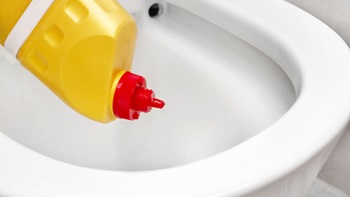 toiletreiniger